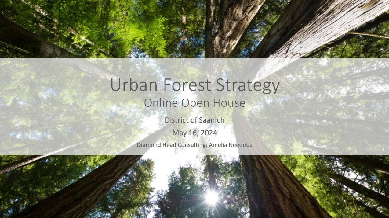 Urban Forest Strategy presentation deck page